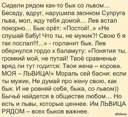 Басня про быка и льва   бык, лев, басня, мужчины, женщины, отношения