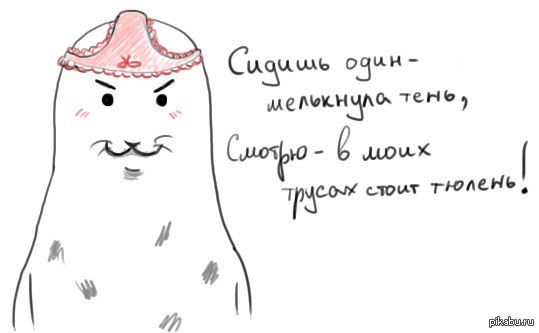 Немного тюленя Взято с vk.com/the_seal_of_love тюлень любви, новое, ВКонтакте