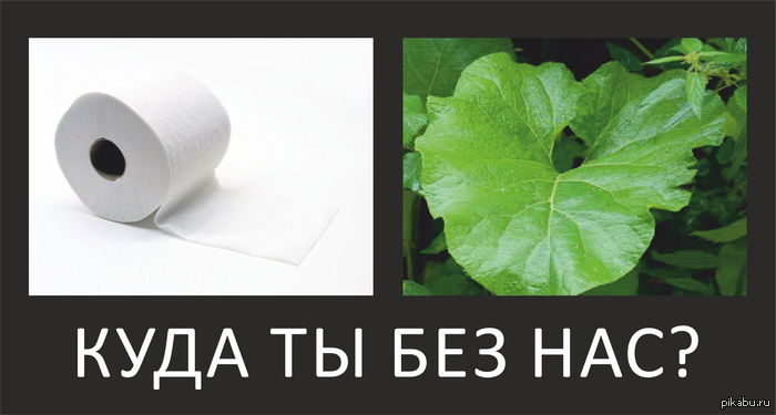 1385569314_1707143373.png
