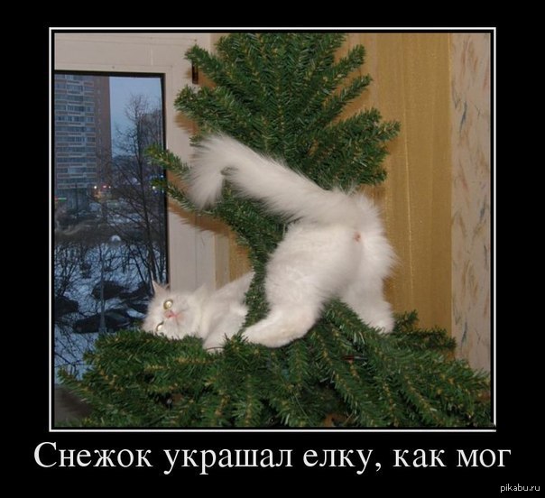 http://s.pikabu.ru/post_img/2013/12/05/5/1386220075_2017486908.jpg