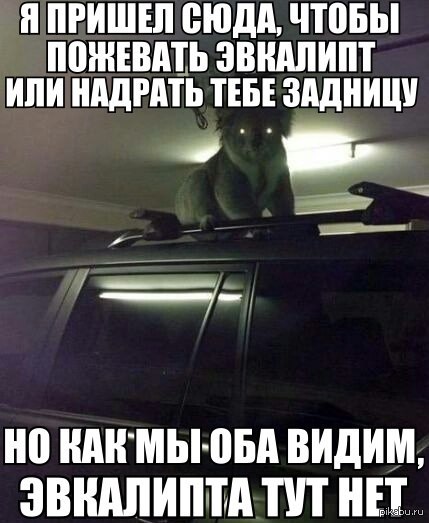 http://s.pikabu.ru/post_img/2014/01/07/8/1389095037_107466441.jpg