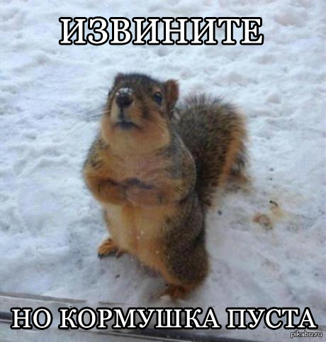 http://s.pikabu.ru/post_img/2014/01/14/9/1389706220_568073380.png